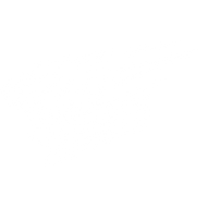 Team Blue Rising