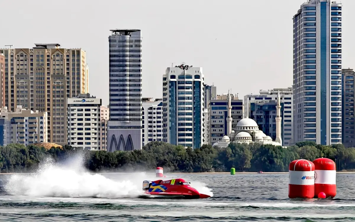 Andersson takes pole as Cohen hospitalised after barrel roll