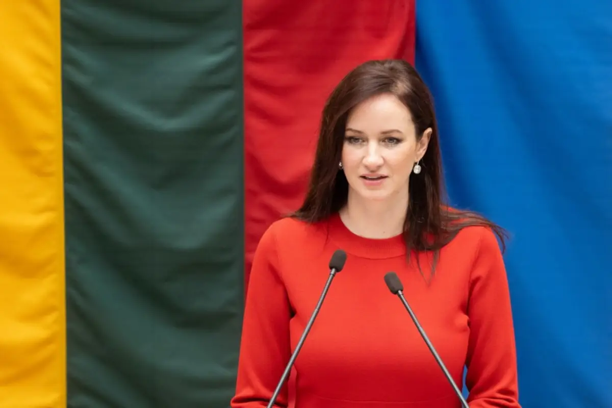 Inga Ruginiene Photo: EPA/OLGA POSASKOVA / LITHUANIAN SEIMAS OFFICE / HANDOUT