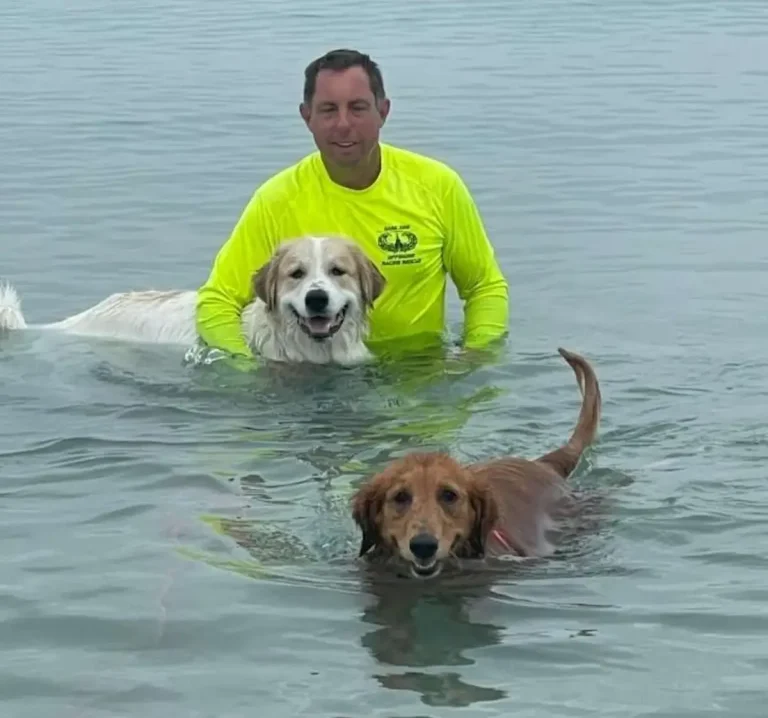 Todd M. Graham is the owner of Aquaman Diving